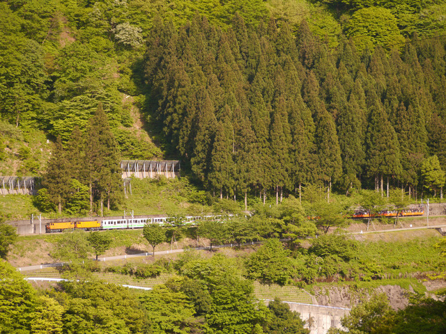 P1250313.jpg