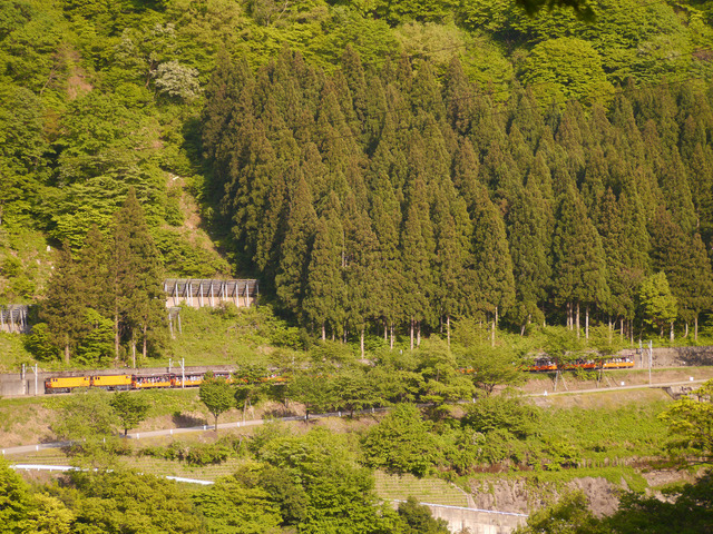 P1250317.jpg