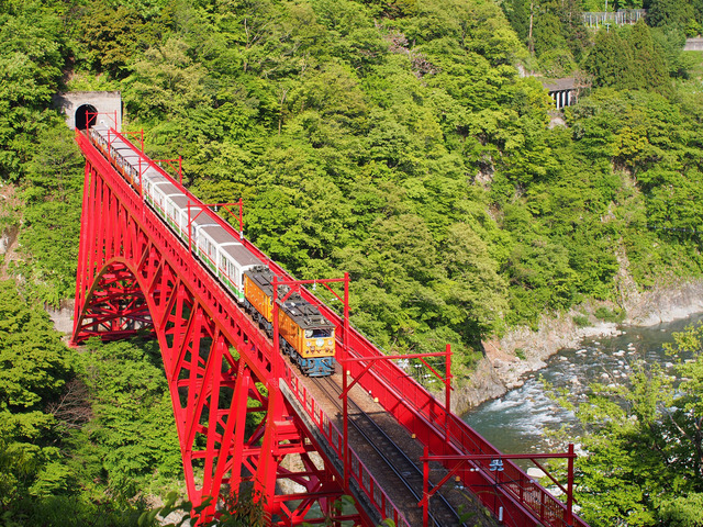 P5112357.jpg